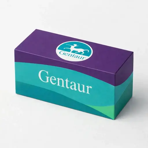 Blood Genomic DNA Extraction Mini Kit (100 prep)