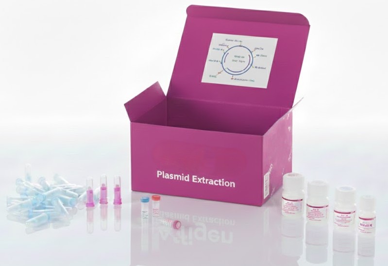 Blood/Cultured Cell Total RNA Mini Kit